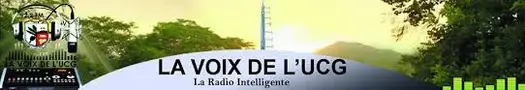Publication logo